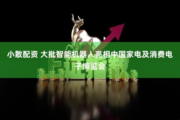 小散配资 大批智能机器人亮相中国家电及消费电子博览会