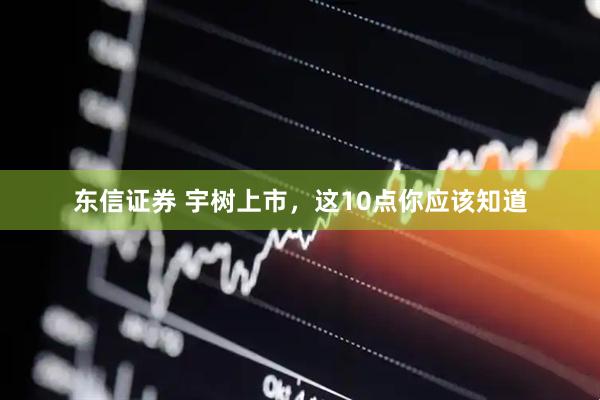 东信证券 宇树上市，这10点你应该知道