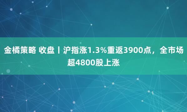 金橘策略 收盘丨沪指涨1.3%重返3900点，全市场超4800股上涨