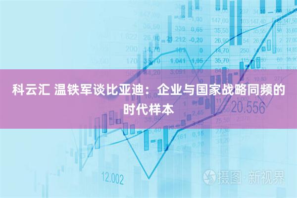 科云汇 温铁军谈比亚迪：企业与国家战略同频的时代样本