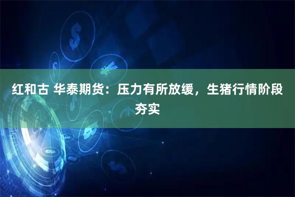 红和古 华泰期货：压力有所放缓，生猪行情阶段夯实