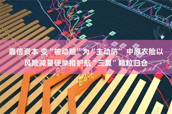 嘉信资本 变“被动赔”为“主动防” 中原农险以风险减量硬举措护航“三夏”颗粒归仓