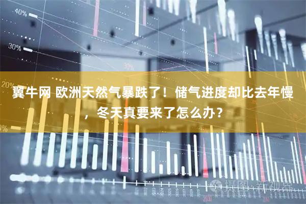 翼牛网 欧洲天然气暴跌了！储气进度却比去年慢，冬天真要来了怎么办？