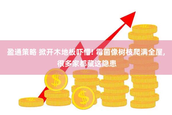 盈通策略 掀开木地板吓懵! 霉菌像树枝爬满全屋, 很多家都藏这隐患