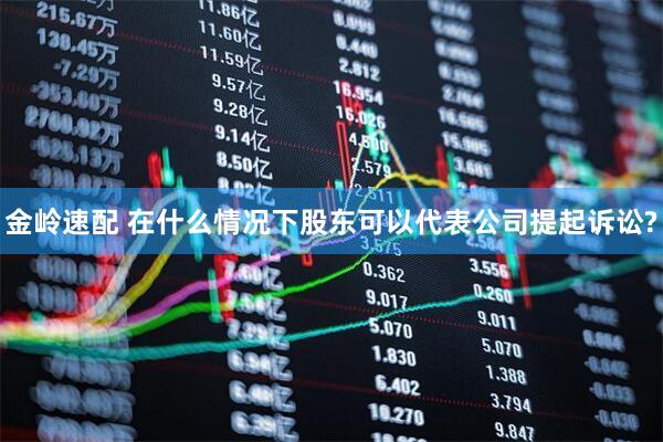 金岭速配 在什么情况下股东可以代表公司提起诉讼?